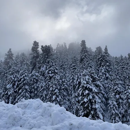 Alonaki House Apartment Amfiklia