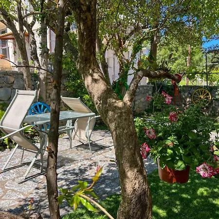 Alonaki House Apartamento Amfikleia